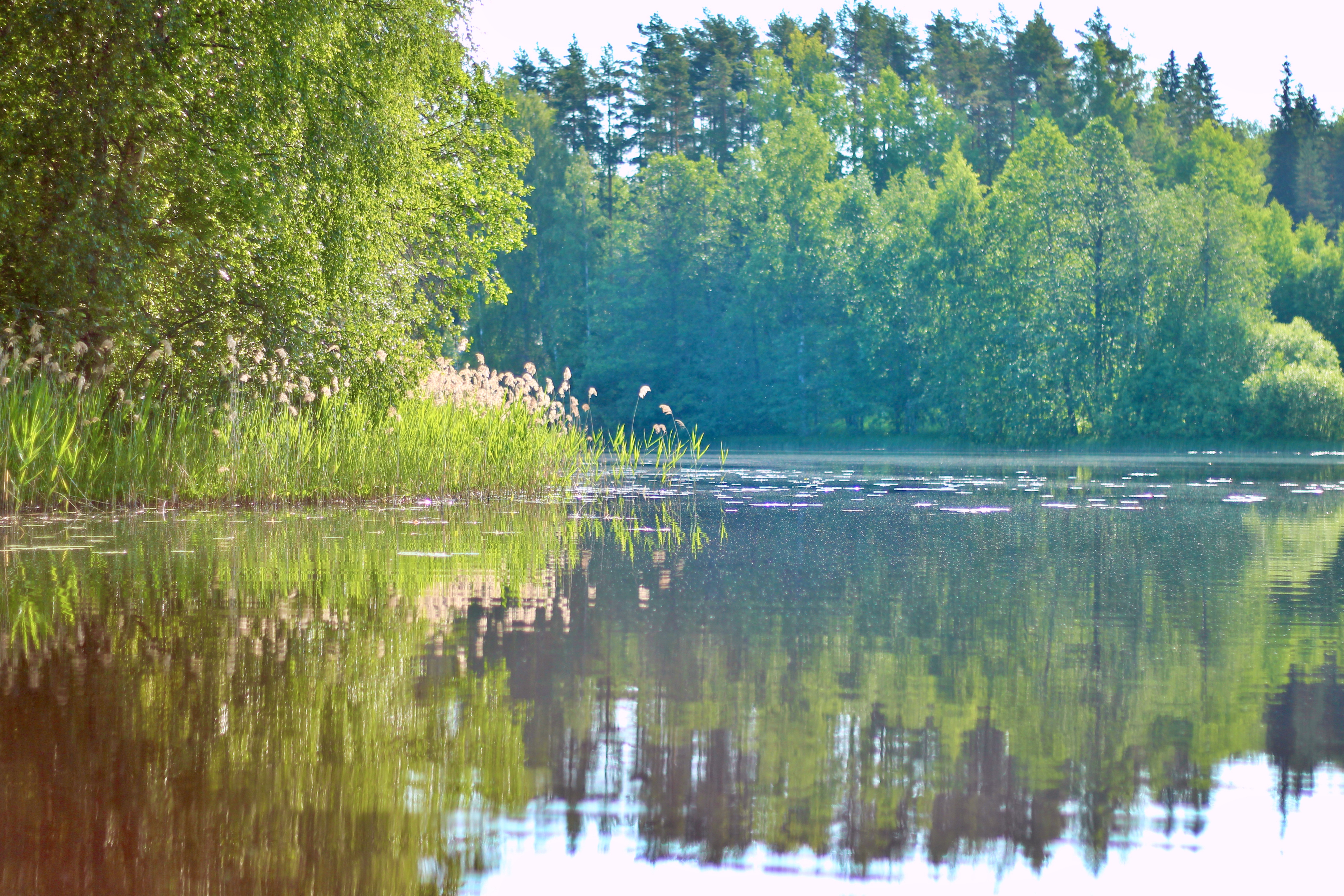 kuva kannuskoskelta